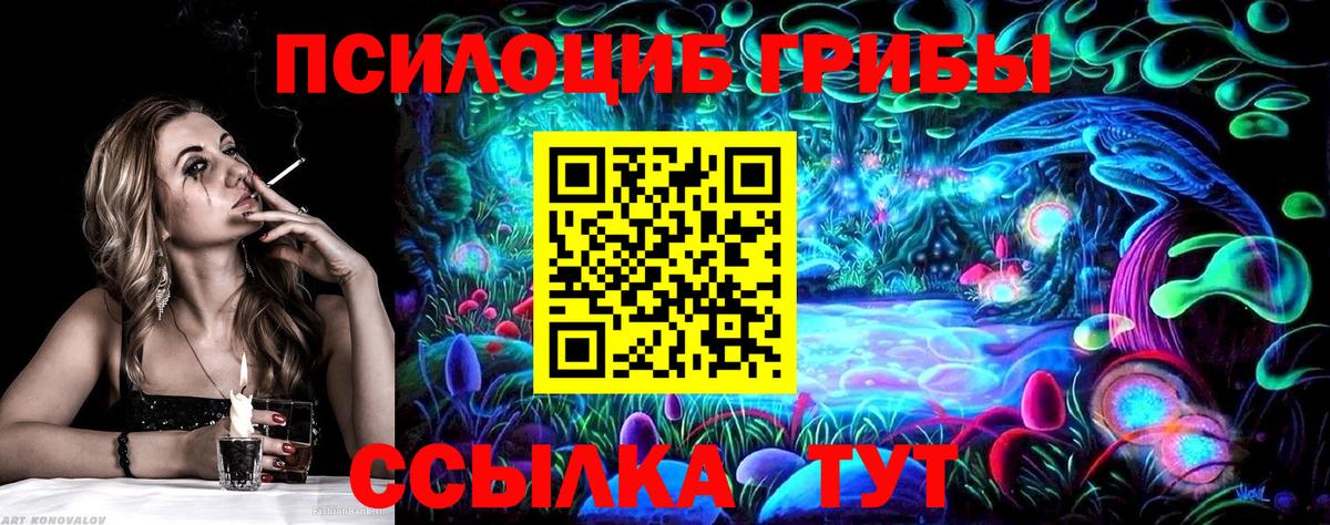 Псилоцибиновые грибы Cubensis  Вход с VPN  Муром 