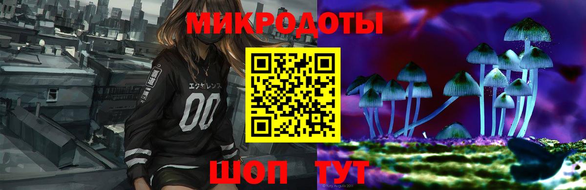 Псилоцибиновые грибы Psilocybine cubensis Муром